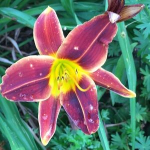 Meet your Posher, Maria